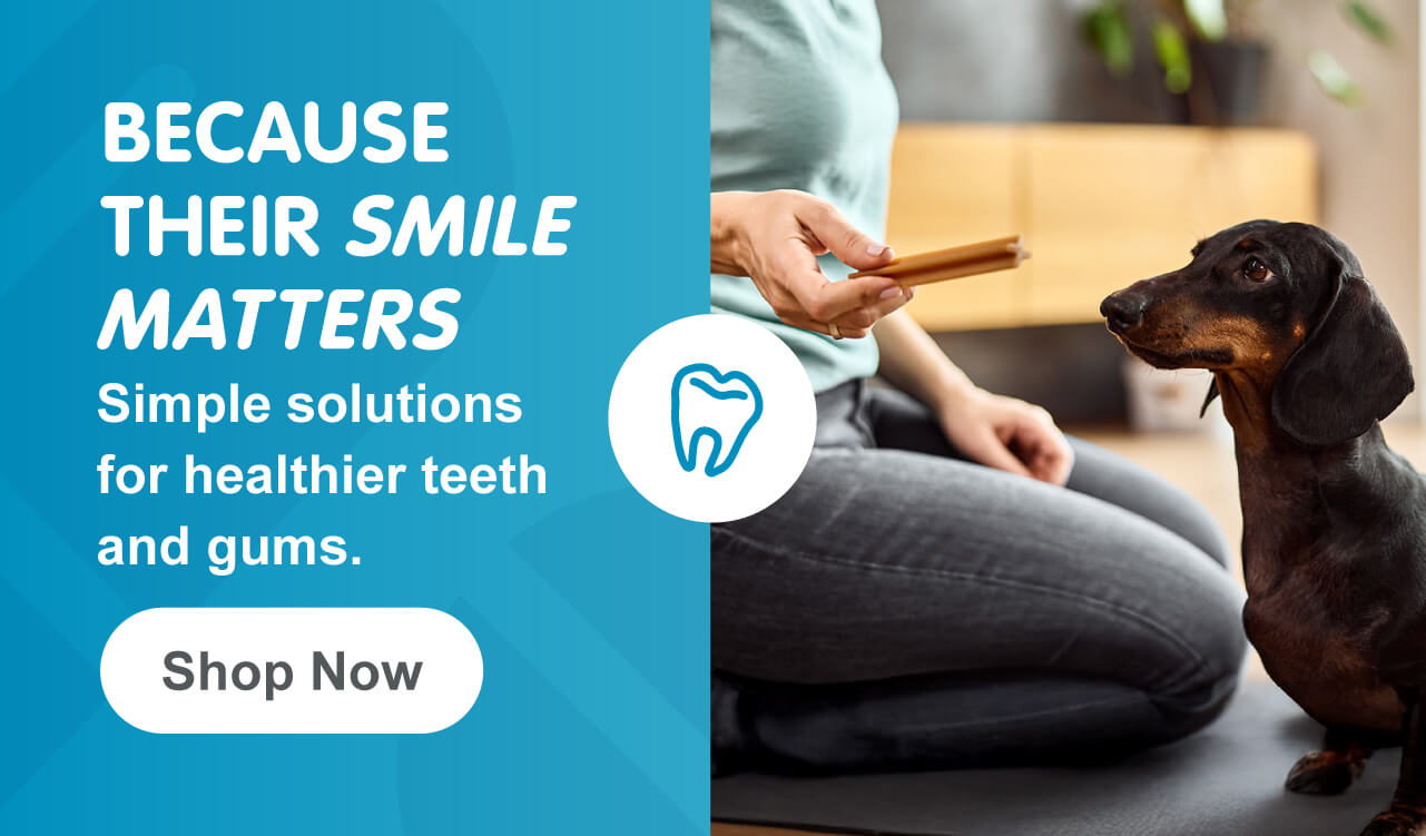 Because their smile matters—shop now